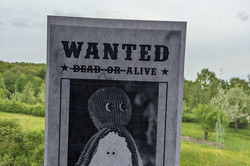 Plakat_Quintopus Ein Quintopus
