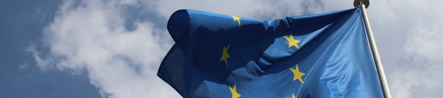 EU Flagge im Wind