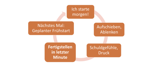 In einer Schleife angeordnet sind die 5 Stichpunkte: (1) Ich starte morgen (2) Aufschieben, Ablenken, (3) Schuldgefühle, Druck, (4) Fertigstellen in letzter Minute (5) Nächstes mal: geplanter Frühstart