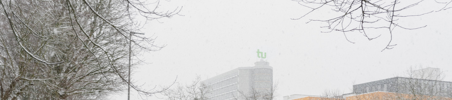 Kahle Bäume und Büsche, im Hintergrund Mathematikgebäude und Mensagebäude im Schnee.