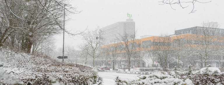 Bare trees and bushes, math building and dining hall building in the background in the snow.